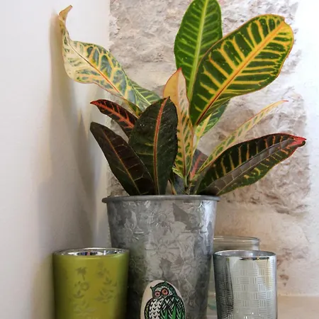 公寓 Sweet Little Space *