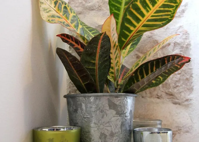 アパート Sweet Little Space *